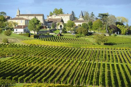 Grand cru Chateau and Saint Emilion village half-day guided tour