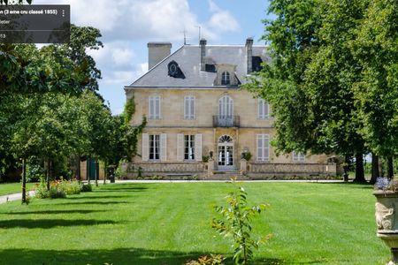 Full-day wine tour in the Medoc region