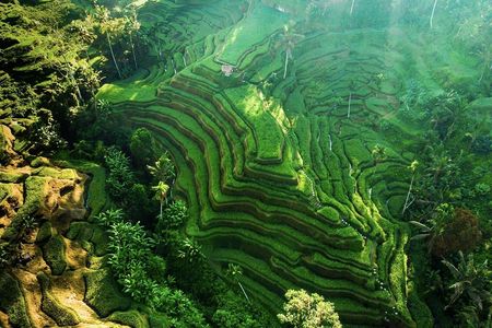 Kanto Lampo Waterfall and Tegalalang rice terraces private tour