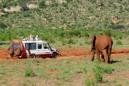 Tsavo East Safari with Overnight Stay at Ashnil Aruba Lodge