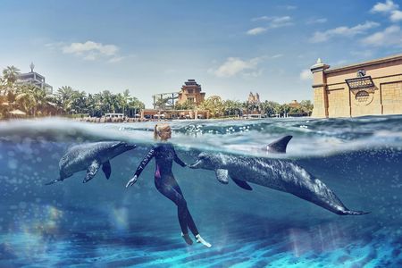 Dolphin Swim at Atlantis Dubai