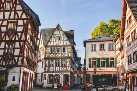 Mainz Guided Tour from Frankfurt by Train