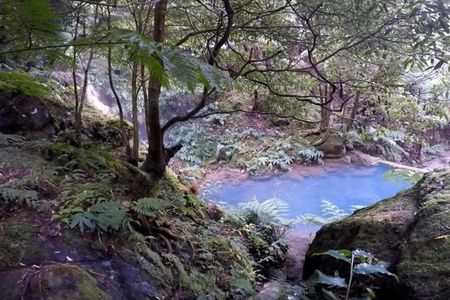 Full-day watching tour with lunch and hot springs at the Lagoa do Fogo