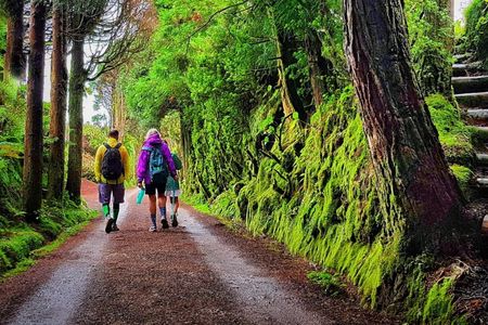 Sete Cidades Full-Day Hiking Experience