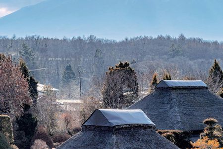 Guided Photo Tour Around Mount Fuji with Traditional Tea Ceremony