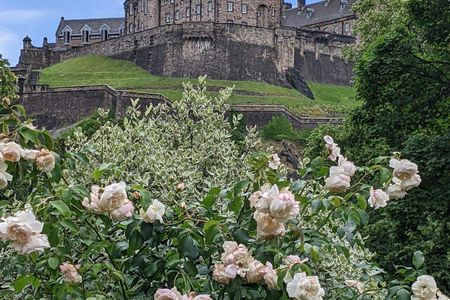 Loch Lomond, Stirling Castle, Kelpies with ticket to Stirling Castle