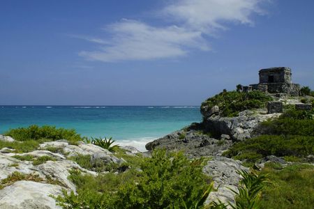 Tulum and Swimming with Turtles Private Tour