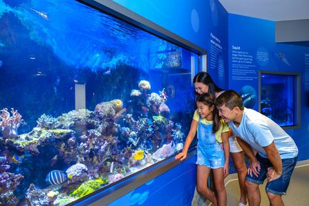 Marine Discovery and Interpretive Centre