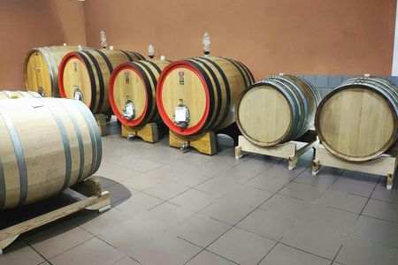 Wine Tasting Experience in the South Slope of Etna