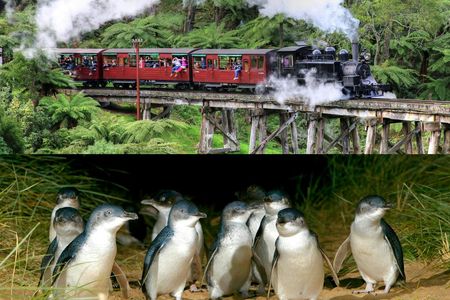 Puffing Billy and Phillip Island Penguin Parade Bus Tour