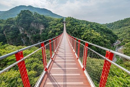 DMZ and Mt. Gamaksan Red Suspension Bridge Tour from Seoul