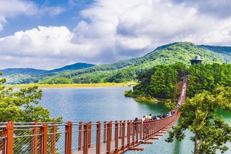 DMZ and Lake Majang Suspension Bridge Tour from Seoul
