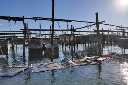 Sustainable Aquaculture Boat Tour in Chioggia's Lagoon