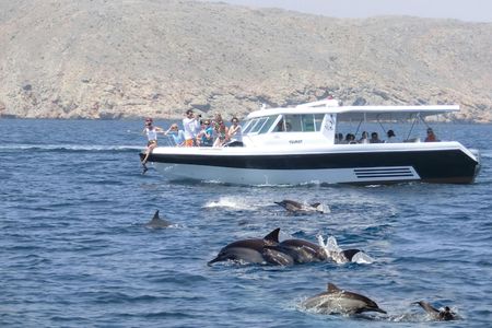 Dolphin Watching Tour in Salalah