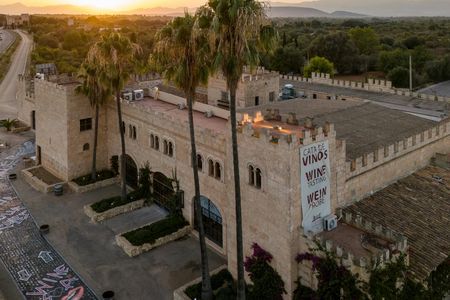 Private bodega tour with wine tasting and tapas in Algaida