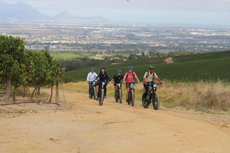 E-Bike Cape Winelands Half Day Tour from Cape Town