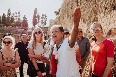 Herculaneum Small Group Tour With an Archaeologist