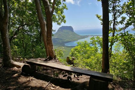 Mauritius Nature Eco-Tour with Ebony Forest Visit