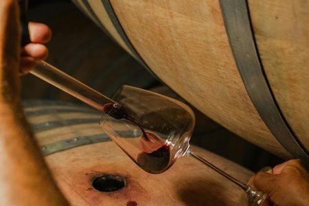 Backstage Brunello and Gourmet Wine-Food Tasting in Montalcino