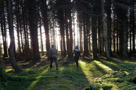 Trails and Tombs tour in the Dublin mountains