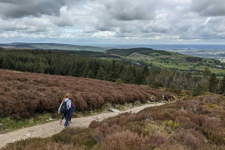Dublin tall tales and treetop trails full-day tour