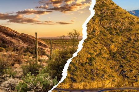 Saguaro National Park and Mt. Lemmon Self-Guided Audio Tour