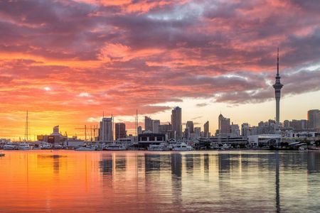 Discover Auckland City Tour