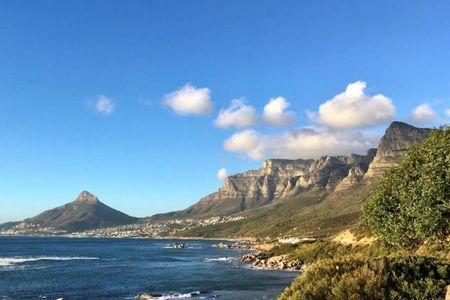 Marine Wildlife Boat Cruise and Cape Peninsula Tour