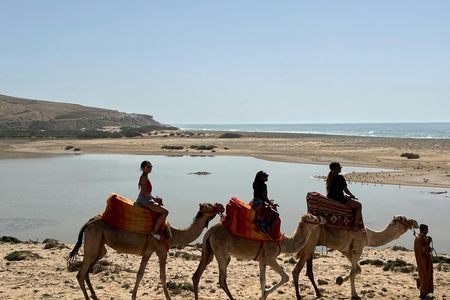 Camel Riding and Moroccan Tea on Tamri Beach from Agadir or Taghazout