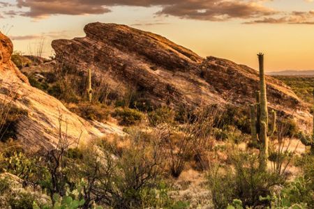 Saguaro National Park Self-Guided Driving Audio Tour