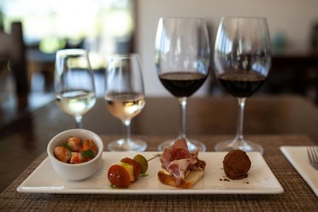 Tasting and Lunch at Bodega Pizzorno in Montevideo