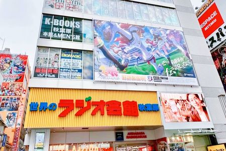 Akihabara Subculture and Shibuya Street Kart Tour in Tokyo
