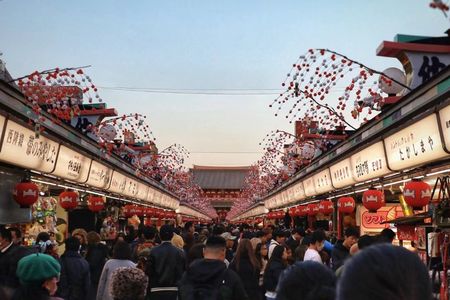 Asakusa Temple and Shibuya Sky Half Day Walking Guided Tour in Tokyo