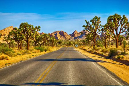 Audio-Guided Driving of the Joshua Tree National Park