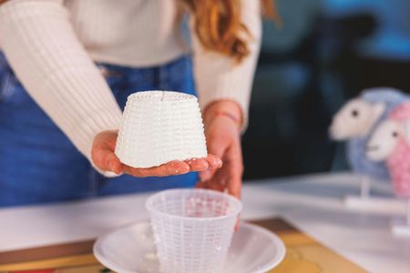 Visit to a Local Cheese-Making Company with Workshop in Dolianova