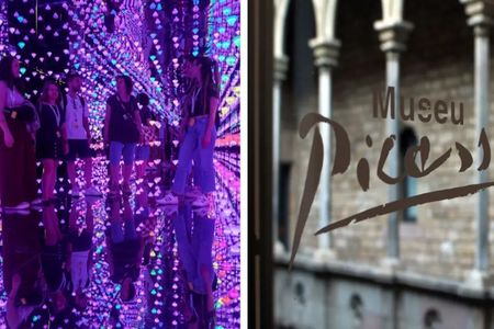 Picasso and Moco Museum guided tour