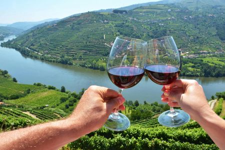 Guided tour of the Douro with river cruise and wine estates' visit