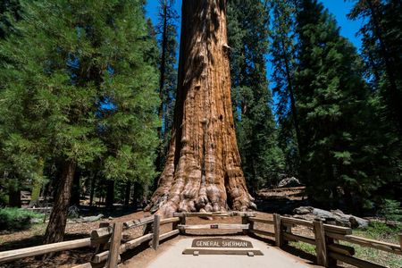 Audio-Guided Driving Tour to Sequoia & Kings Canyon