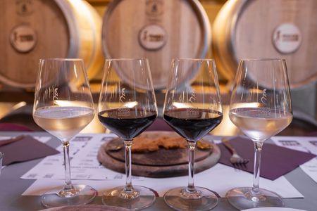 Agricola Poggio ai Laghi Tasting of Wines, Oils and Vinegars