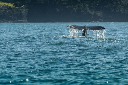 Self-Guided Driving Tour to Explore the Oregon Coast