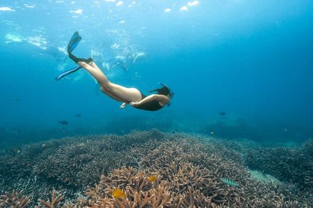 Nusa Lembongan with Manta Bay snorkelling all-inclusive tour