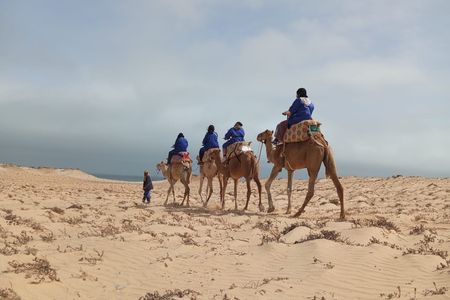 Camel Ride Experience in Dakhla's Desert Landscape