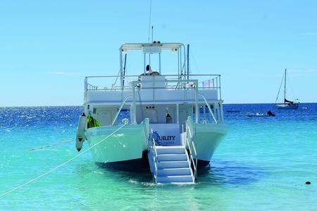 Turtle and Shipwreck Snorkel Adventure in Barbados