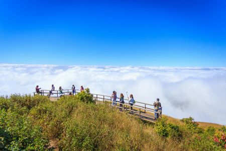 Hiking Experience to the Highest Spot in Chiang Mai