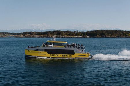Sunset whale watching adventure from Victoria