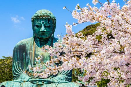 1-day tour to Kotoku-in, Hachimangu Shrine and Enoshima from Tokyo