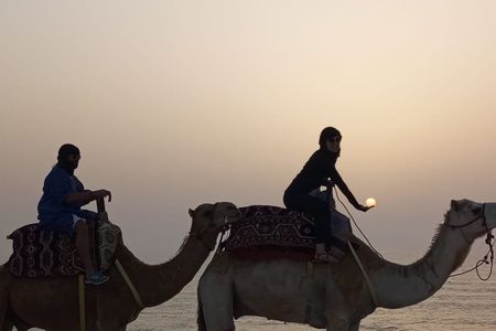 Camel Ride Experience with Evening Barbecue in Agadir