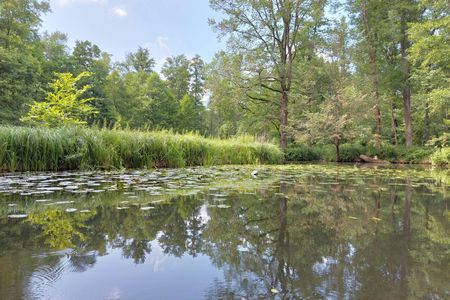 Private Day Tour  to Spree Forest from Dresden