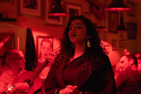 Lisbon Fado and dinner tour