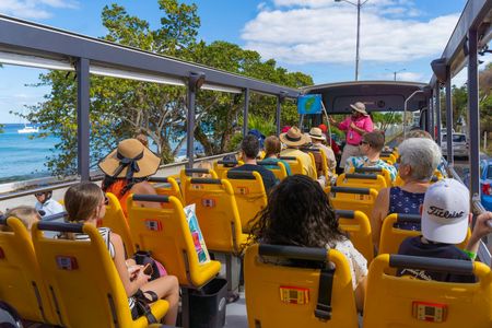 Caribbean Adventure with Hop-on Hop-off and Beach Break in Cozumel